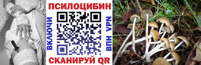 Галлюциногенные грибы Magic Shrooms  где можно купить   Курлово 